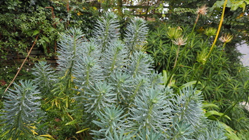 PA155090.JPG
