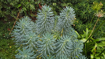 PA155091.JPG