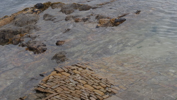PA155095.JPG