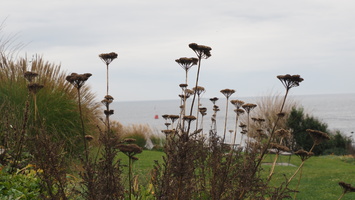 PA155112.JPG