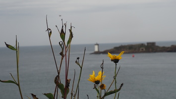 PA155116.JPG