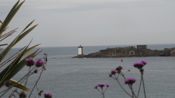 PA155117.JPG