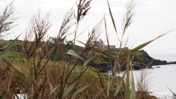 PA155129.JPG