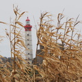 PA155141.JPG