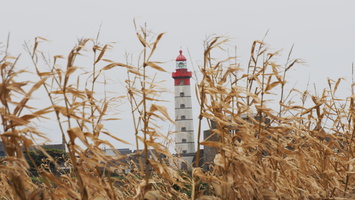 PA155142.JPG