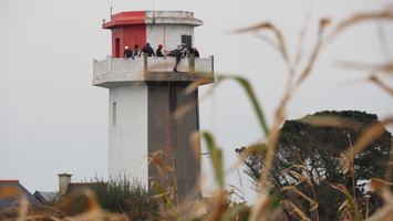 PA155150.JPG
