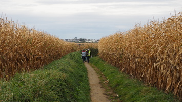 PA155152.JPG