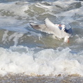 PA225362.JPG