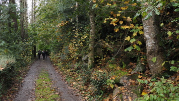 PA295492.JPG