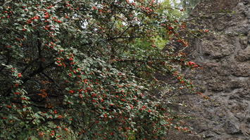 PA295493.JPG
