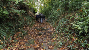 PA295494.JPG
