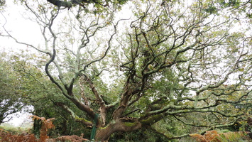 PA295495.JPG