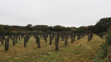 PA295496.JPG