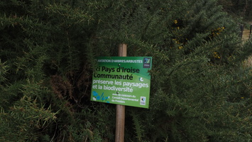 PA295497.JPG