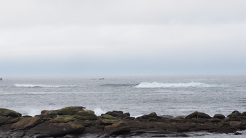 PA295525.JPG