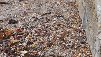 PA295537.JPG