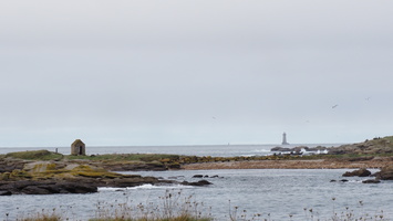 PA295546.JPG