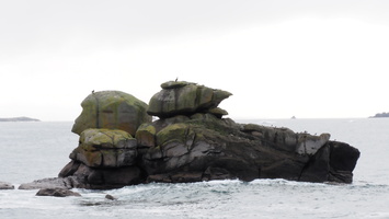PA295549.JPG