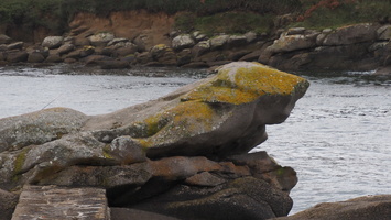 PA295555.JPG