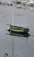 PA295558.JPG