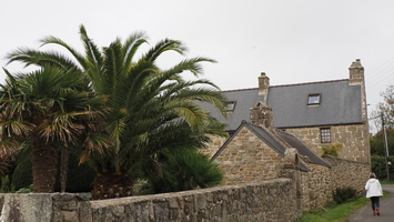 PA295561.JPG