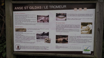 PA295564.JPG