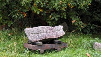 PA295565.JPG