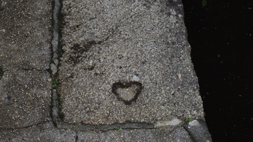 PB054883.JPG