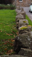 PB054909.JPG