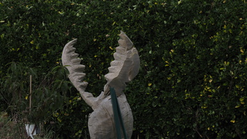 PB054912.JPG