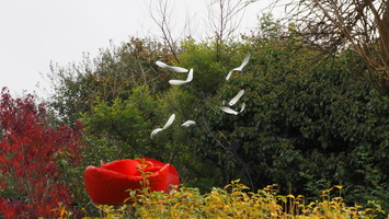 PB054913.JPG