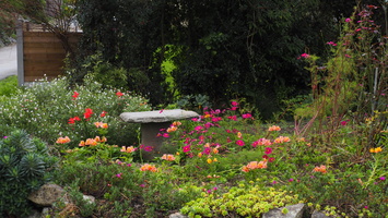 PB054924.JPG