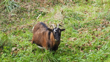 PB125029.JPG