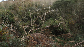 PB125057.JPG