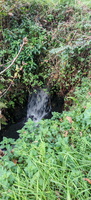WhatsApp Image 2024-11-12 at 17.10.30
