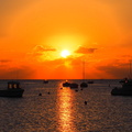 PB135066.JPG