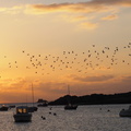 PB135070.JPG