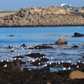 PB155112.JPG