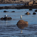 PB155131.JPG