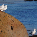 PB155139.JPG