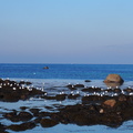 PB155144.JPG