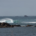 PB215311.JPG