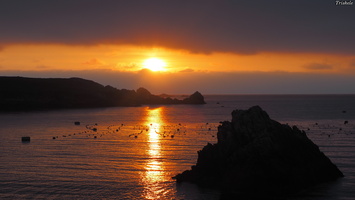 PB074991.JPG