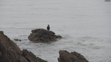 PB075001.JPG
