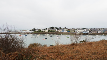 PC105590.JPG