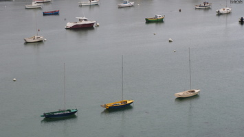 PC105602.JPG