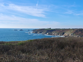 IMG-20250115-WA0007