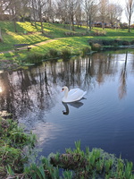 IMG-20250115-WA0002