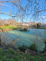 IMG-20250115-WA0001
