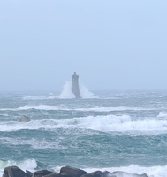 IMG-20250128-WA0017